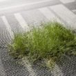 Carpet-Studio Kolekcja Rawline Scala – wykładziny inspirowane klasycznymi tkaninami
